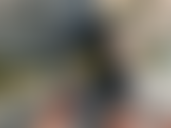 The Amish Wife by Gregg Olsen