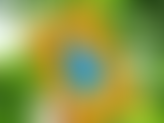 Bittersweet: How Sorrow and Longing Make Us Whole by Susan Cain