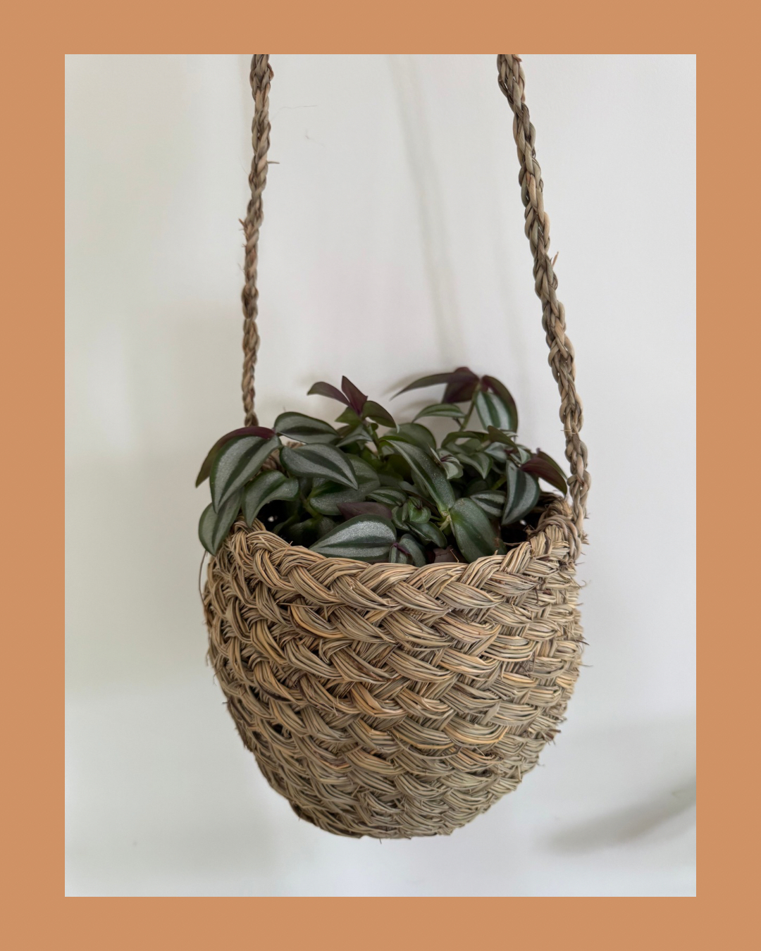 Hangmandje D20 H18cm