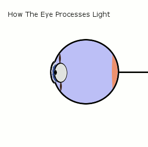 how the eye works