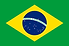 Brazil flag.png