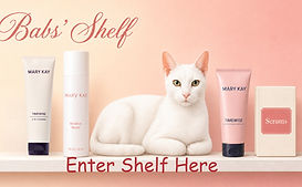 shelf pic with princess_edited.jpg