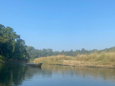 Reisblog: Chitwan National Park - Kanotocht & Elephant Breeding Center