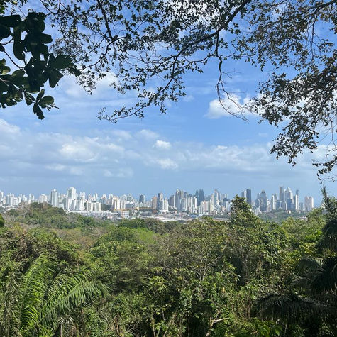 Reisblog: 16-daagse rondreis door Panama