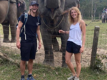 Reisblog: Chitwan National Park - Olifantensafari