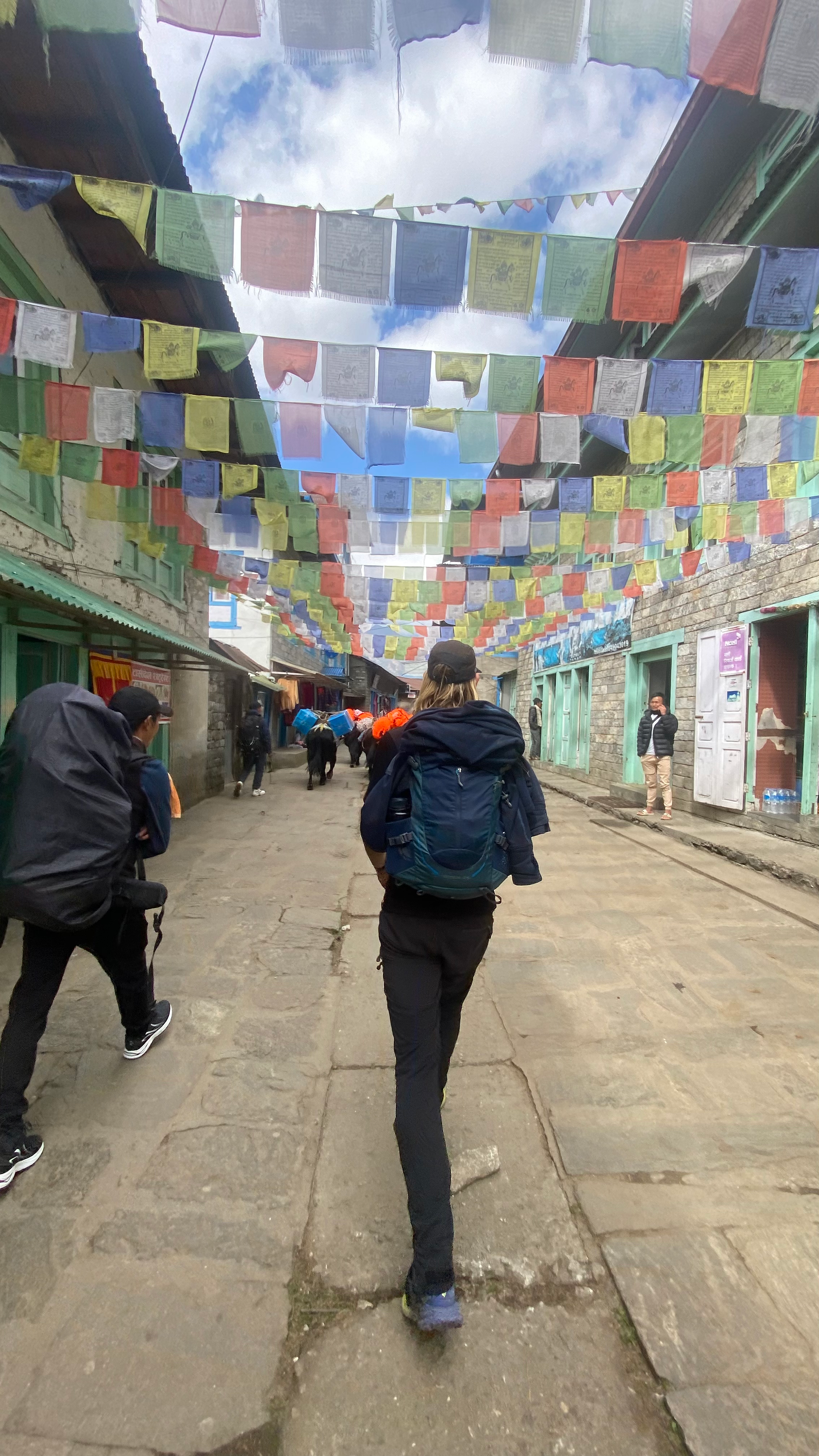 Nepalese gebedsvlaggen in dorpje