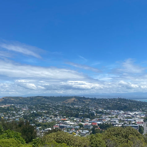 Wat te doen in Nelson? 