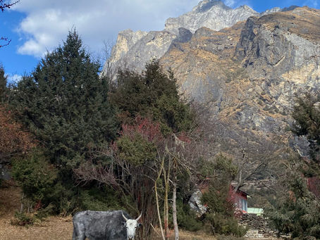 Reisblog: Dag 4 drie hoge passen Everest Base Camp trek, Namche Bazar - Tengboche