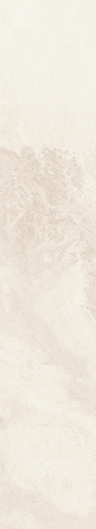 White Background_edited.jpg