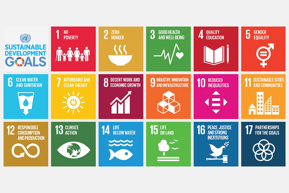 The 17 UN Sustainable Development Goals