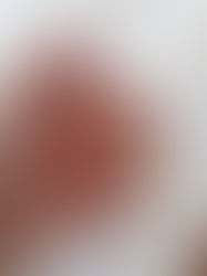 Inteligência e Sabedoria