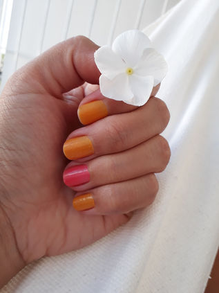 Inteligência e Sabedoria