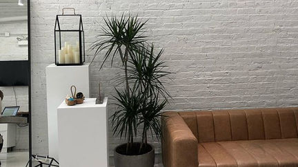 Have your plants and breathe easier too!
