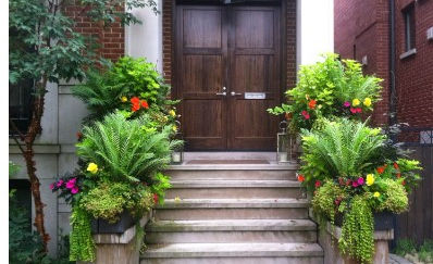Dreaming about spring? Start thinking about your outdoor garden, let us help make it beautiful!