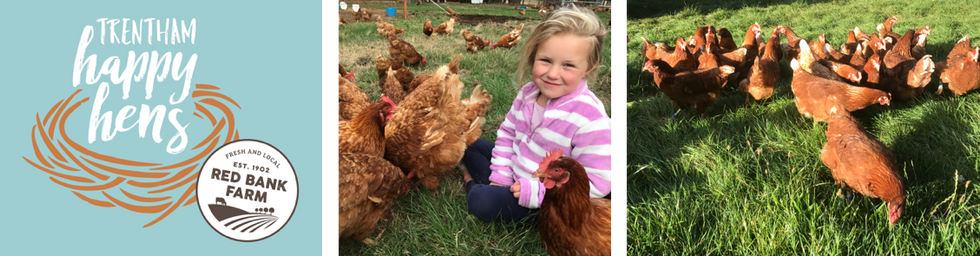 Hatching a new venture