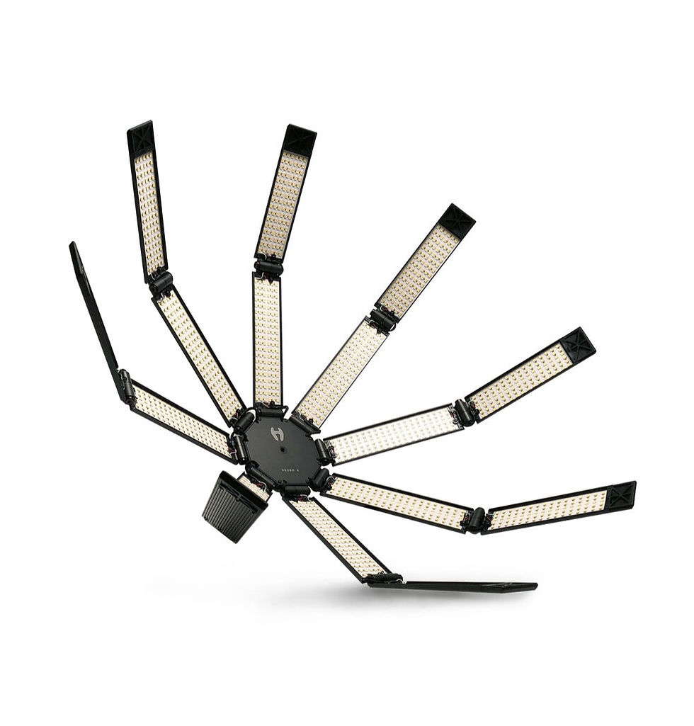 Hudson Spider Redback Deluxe