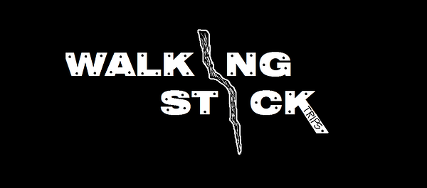 1WALKING STICK TRIPS LOGO.png