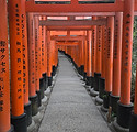 FUSHIMI INARI (17).jpg