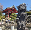 KIYOMIZU DERA (25).jpg