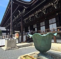 CHION IN (3).jpg