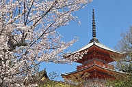 KIYOMIZU DERA (2)_edited.jpg