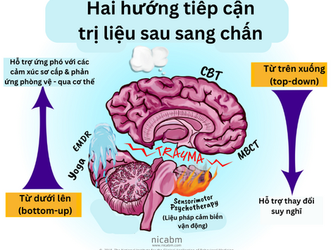 hai nhóm liệu pháp trong tâm lý trị liệu