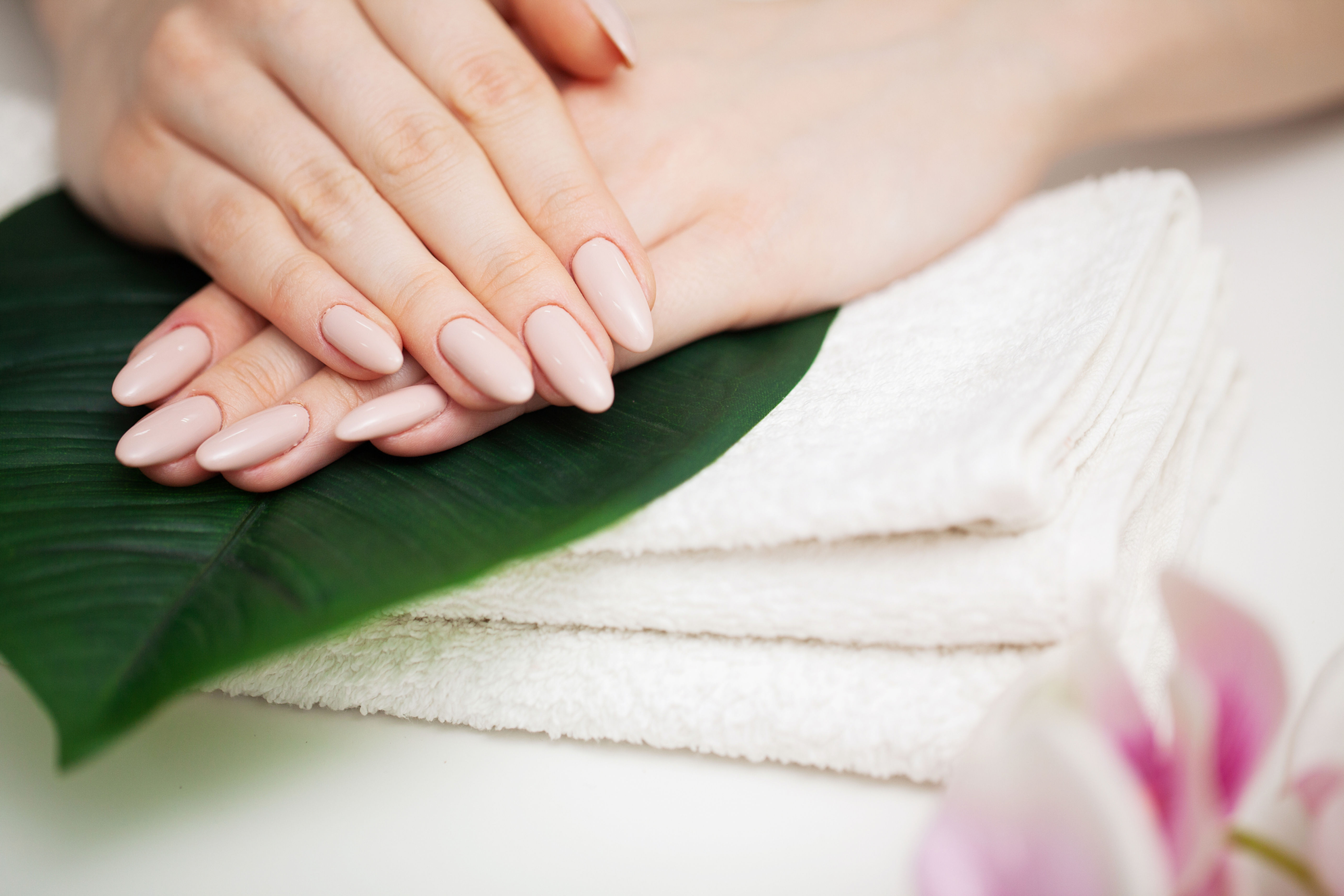 Beautiful nude nails with gel and acrylic full set on green leaf.