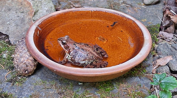 11.Liten.Snett bakifrån.jpg
