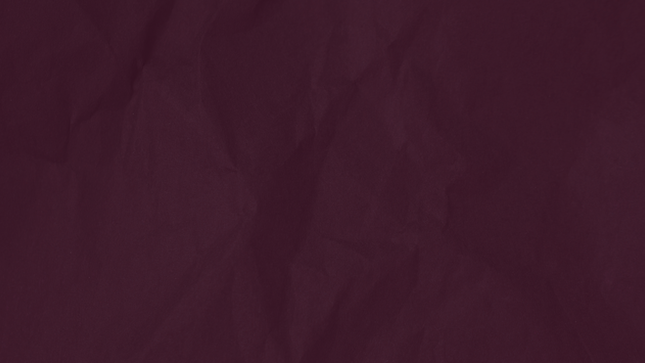 Untitled design (16).png