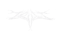 Bandseite_Logos_2026_Zeit.png