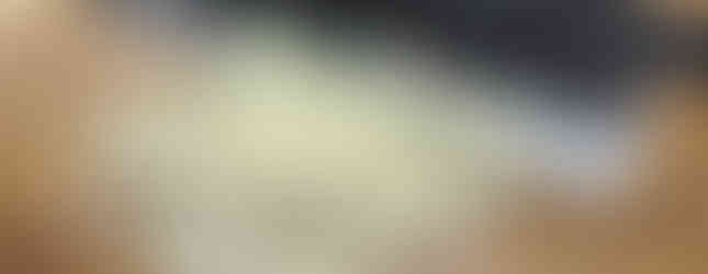 freshly chopped garlic with a forge to table nakiri