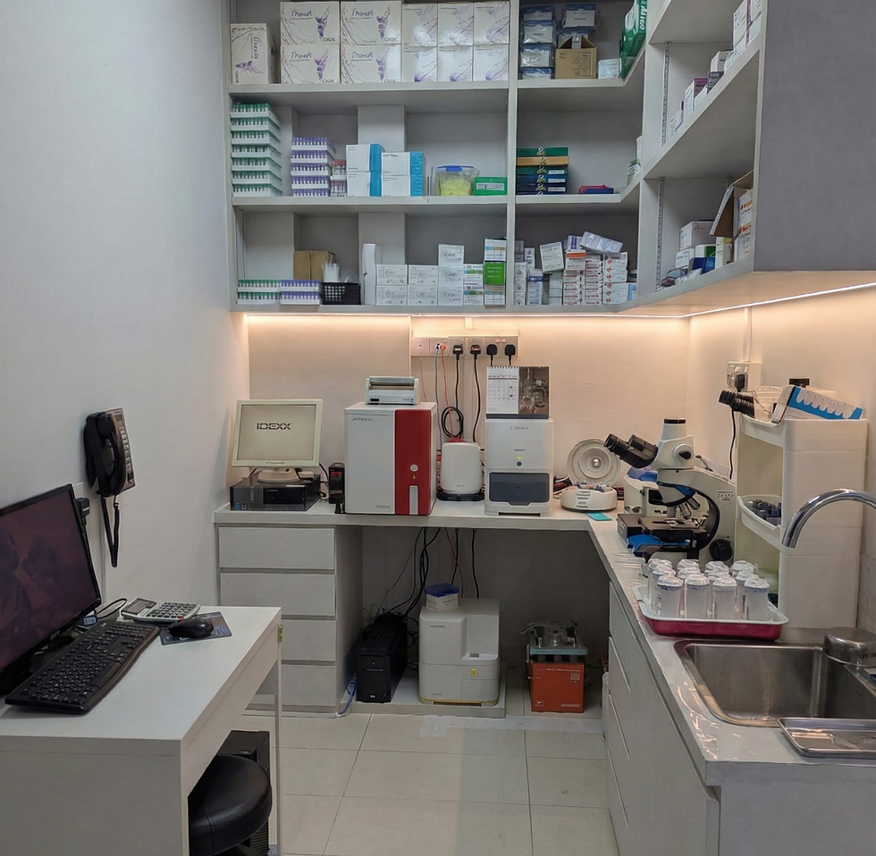 Untitled design - 2026-01-19T085035.886.png