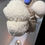 Thumbnail: Mushroom Grow Blocks