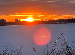 IMG_9893.jpg