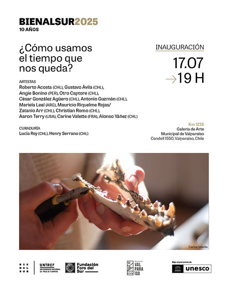 AFICHE BIENALSUR 2025.JPG