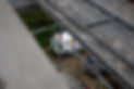 DSC_2971.jpg