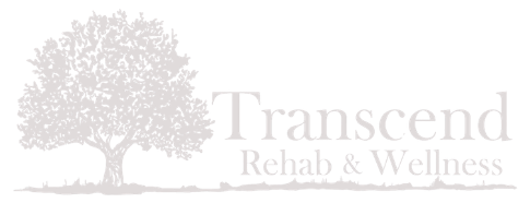 Transcend logo.png
