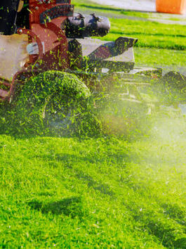 Lawn Treatment Providers: Important Tips for a Lush, Environment-friendly Grass