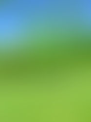 Grass Care Service: Elevate Your Outside Room
