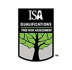 Ourartistrees-tree-risk-assessment-qualification-decatur-il-arborist.webp