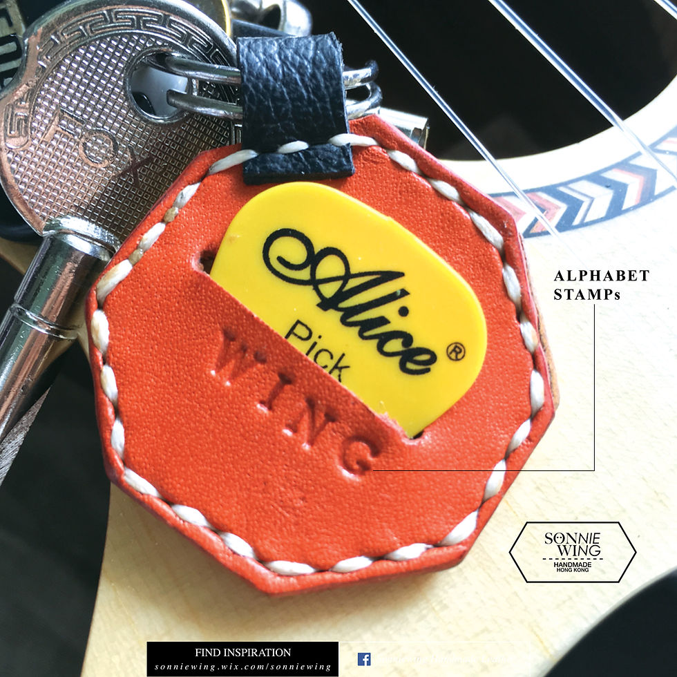 Thumbnail: ∆ Custom Made ∆ Octagon Leather Picks Holder