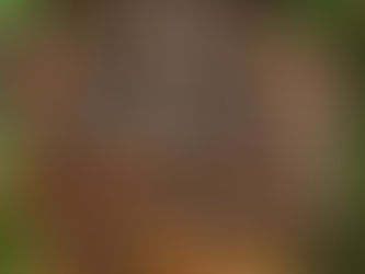 The Story Behind Fable & Flow Crafts