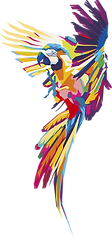 LOGO HELLOBIRD.png