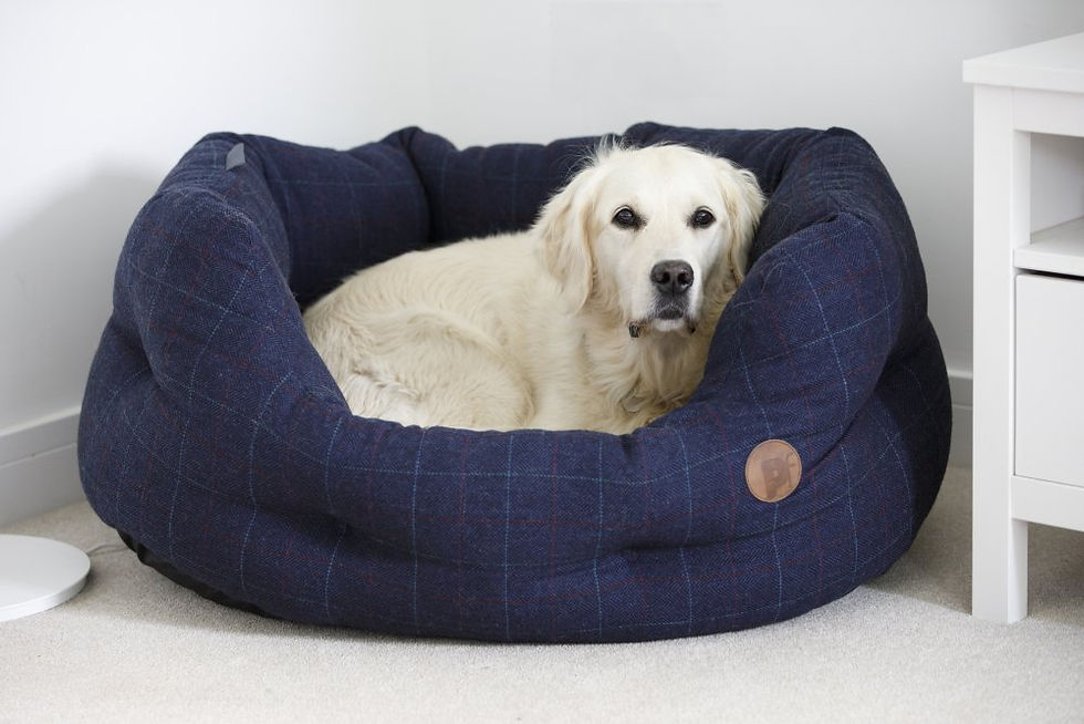 Thumbnail: MIDNIGHT TWEED OVAL PET BED