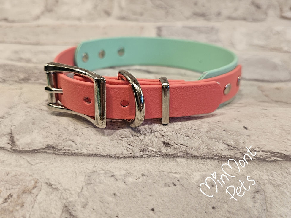 Thumbnail: 2 Tone BioThane®️ Wide Handmade Dog Collar