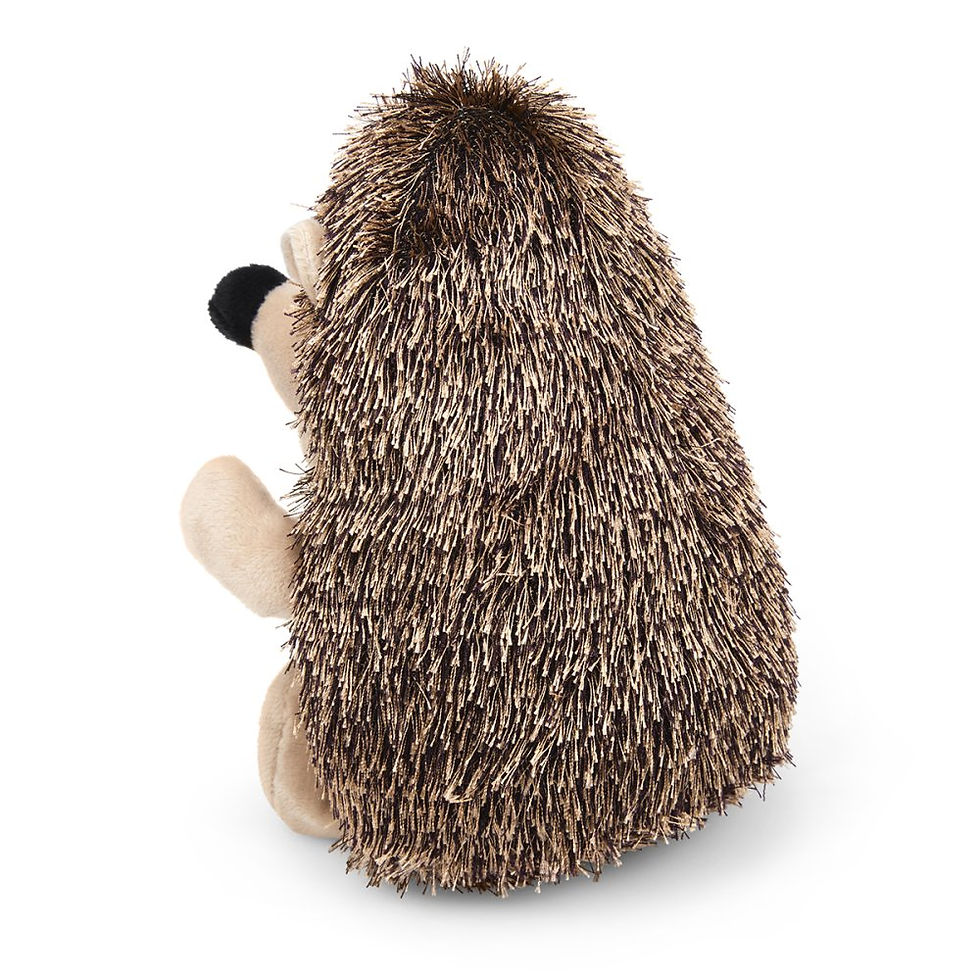 Thumbnail: HESTON HEDGEHOG PLUSH DOG TOY