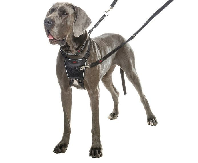 Thumbnail: Halti No Pull Harness - Training/Stop Pulling Harness