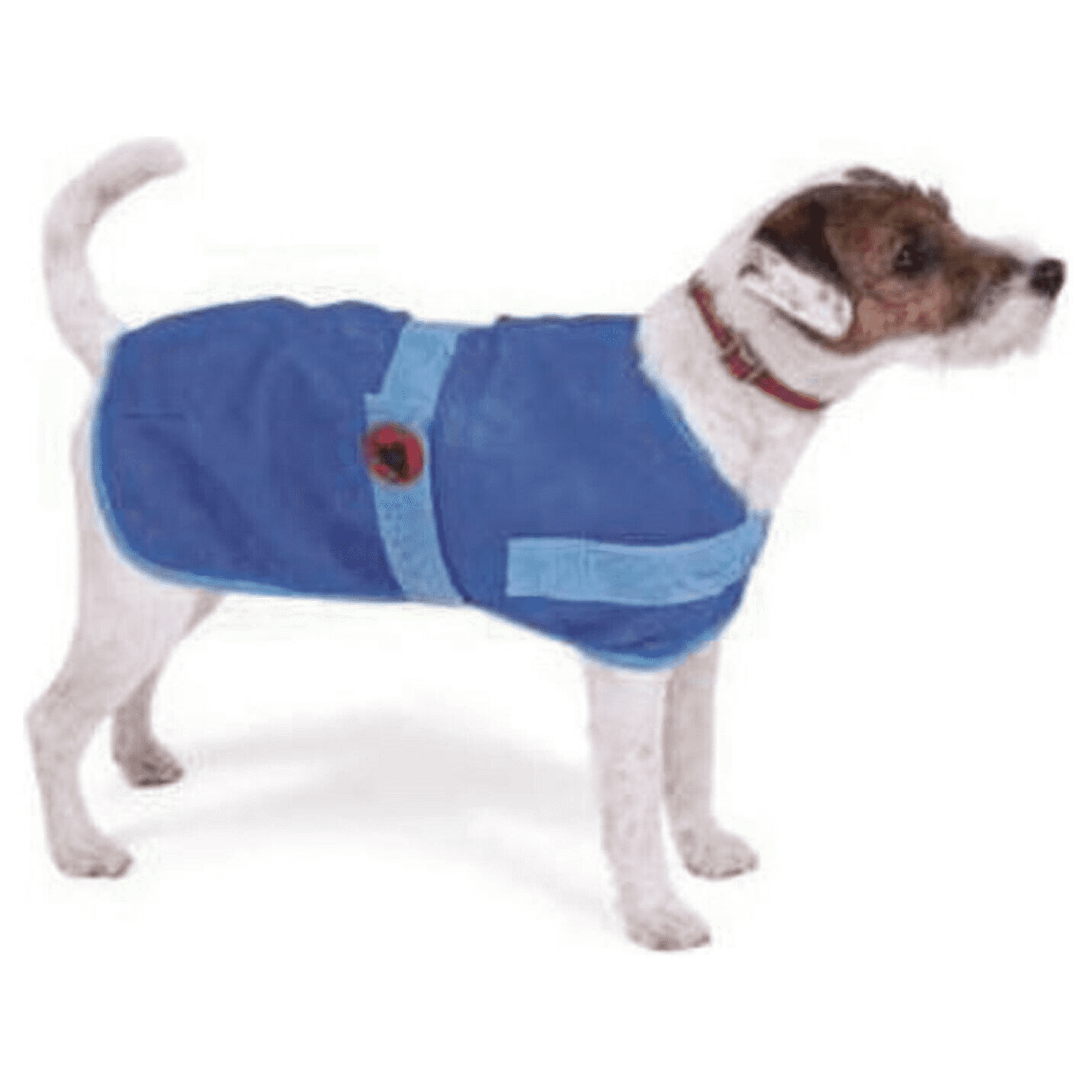 Cooling Coat, Summer Dog Coat, Water Activated