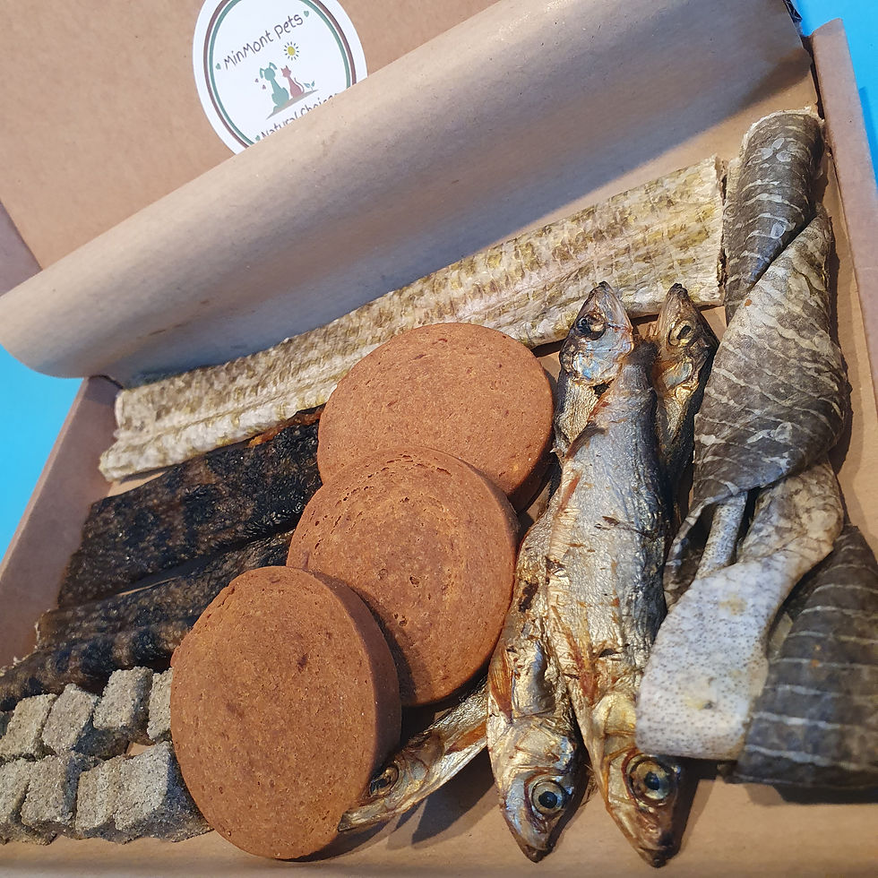 Thumbnail: "Fishy Frenzy" Letterbox Natural Treat Selection - Mini Muncher