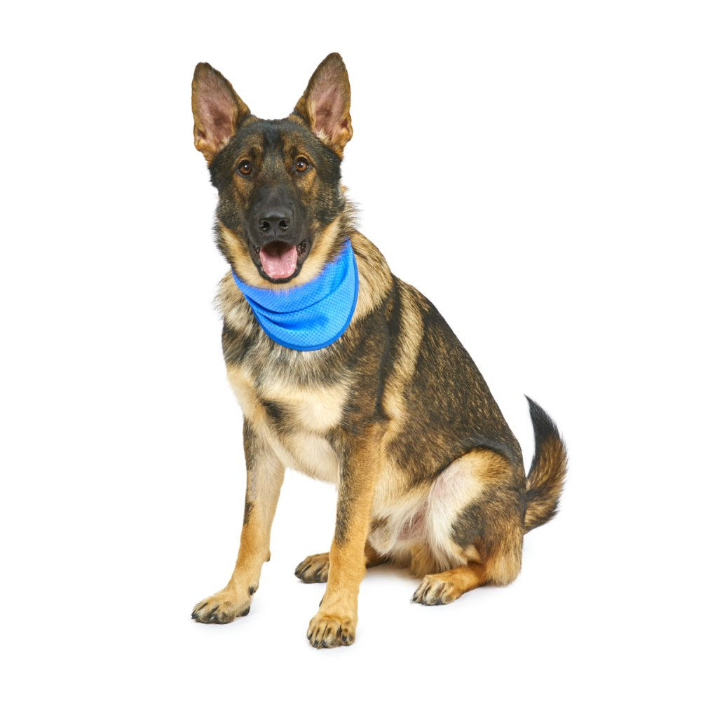 COOLING PET BANDANA